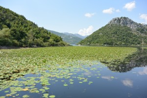 Skadar Lake Montenegro Skadar Lake Montenegro